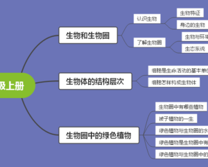 小学阶段如何为初